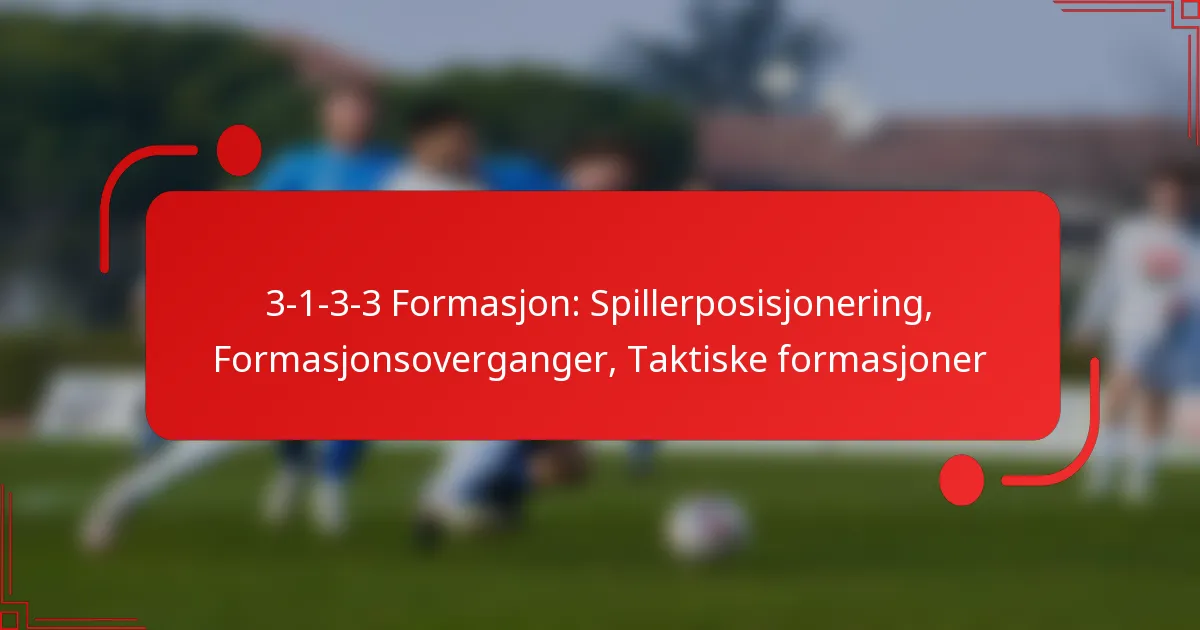 3-1-3-3 Formasjon: Spillerposisjonering, Formasjonsoverganger, Taktiske formasjoner