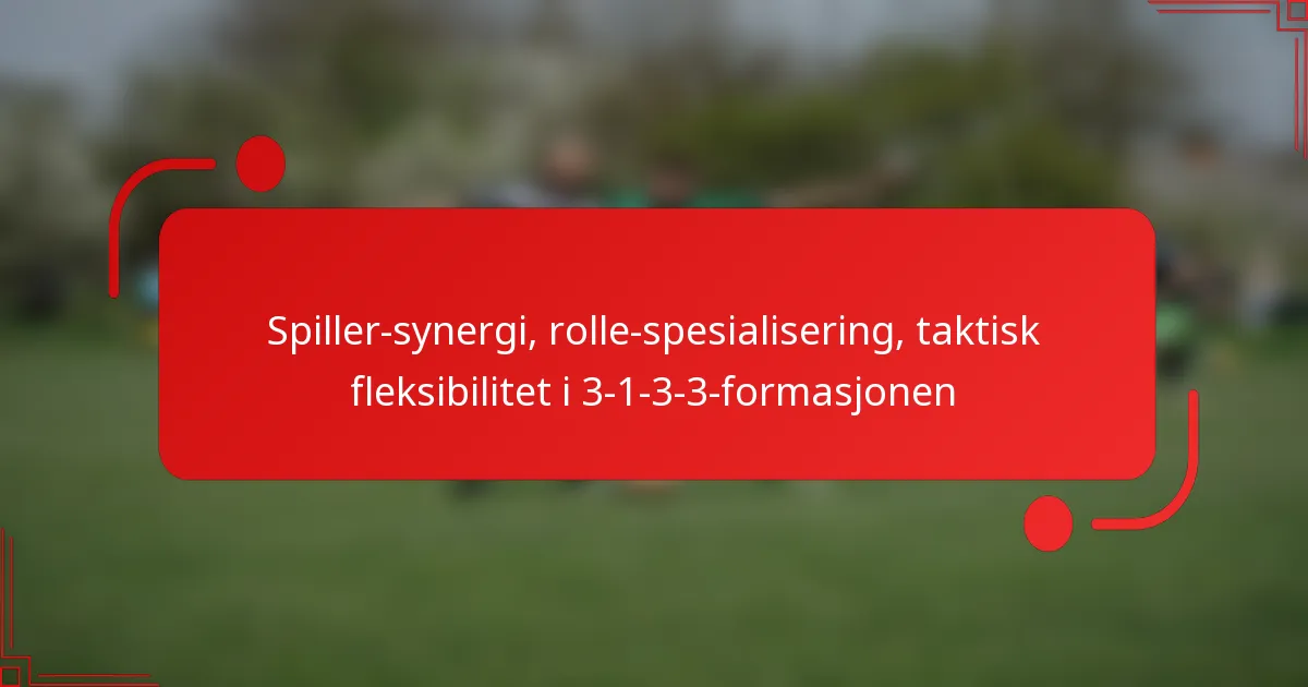 Spiller-synergi, rolle-spesialisering, taktisk fleksibilitet i 3-1-3-3-formasjonen