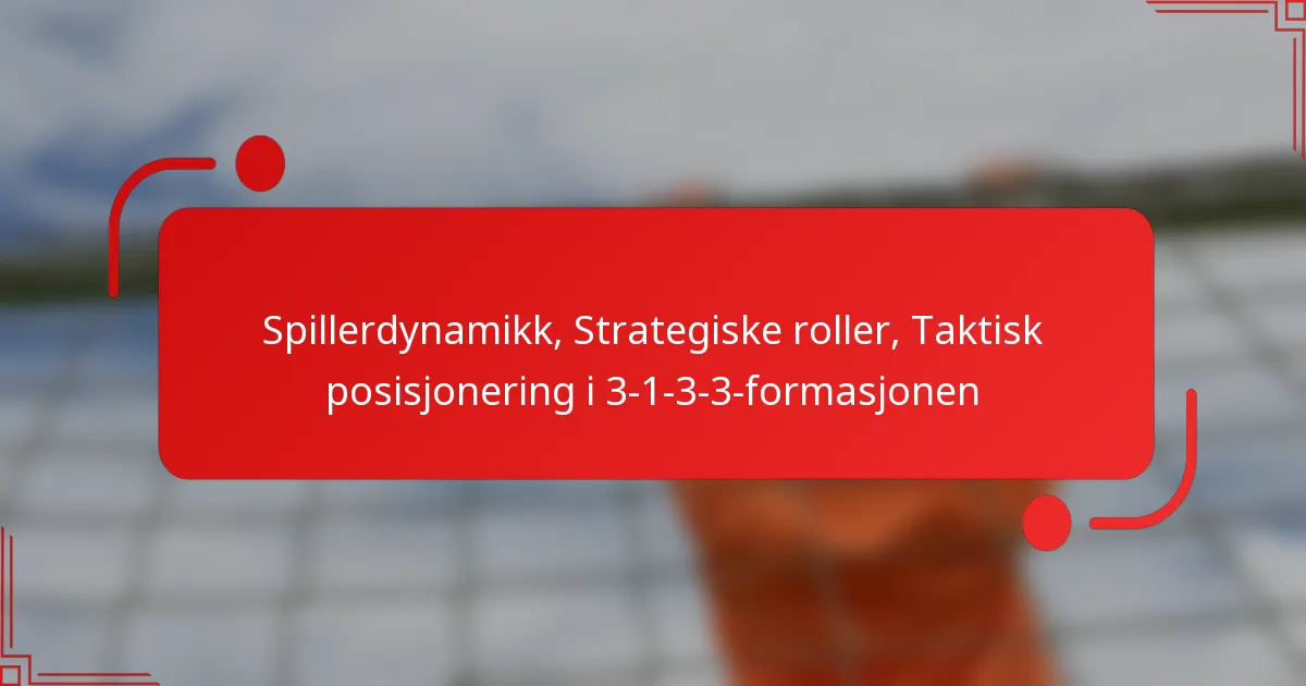 Spillerdynamikk, Strategiske roller, Taktisk posisjonering i 3-1-3-3-formasjonen